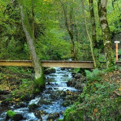 Cascade de la Borie 001